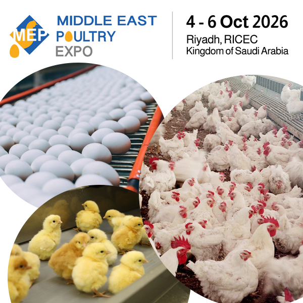 Middle East Poultry Expo 2026 in Riyadh, Saudi Arabia (Oct 04–06) is a leading poultry industry exhibition featuring global exhibitors, innovations in poultry farming, feed, equipment, and food security solutions. Join industry leaders at Riyadh International Convention and Exhibition Center. Middle East Poultry Expo 2026 in Riyadh, Saudi Arabia (Oct 04–06) is a leading poultry industry exhibition featuring global exhibitors, innovations in poultry farming, feed, equipment, and food security solutions. Join industry leaders at Riyadh International Convention and Exhibition Center.